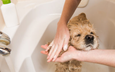 On Demand Water Heaters – Pros and Cons